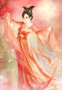 总裁的二婚宠妻